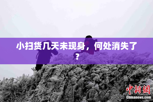 小扫货几天未现身，何处消失了？