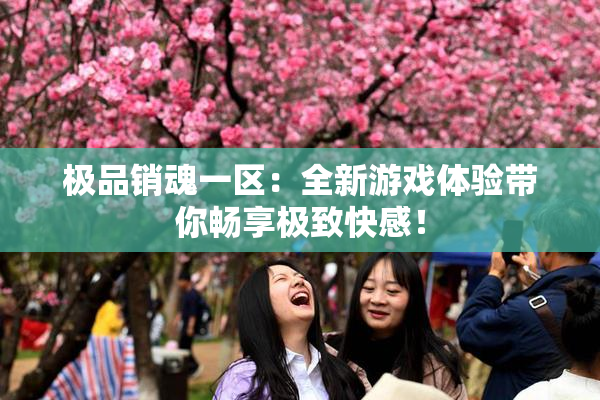 极品销魂一区：全新游戏体验带你畅享极致快感！