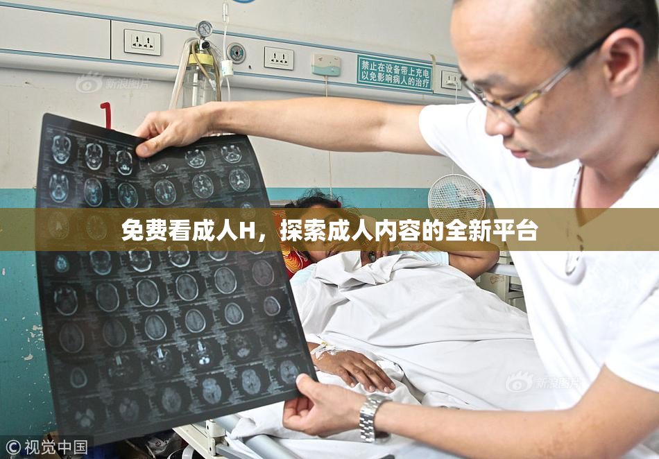 免费看成人H，探索成人内容的全新平台