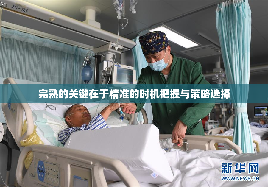 完熟的关键在于精准的时机把握与策略选择