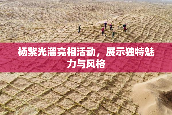 杨紫光溜亮相活动，展示独特魅力与风格