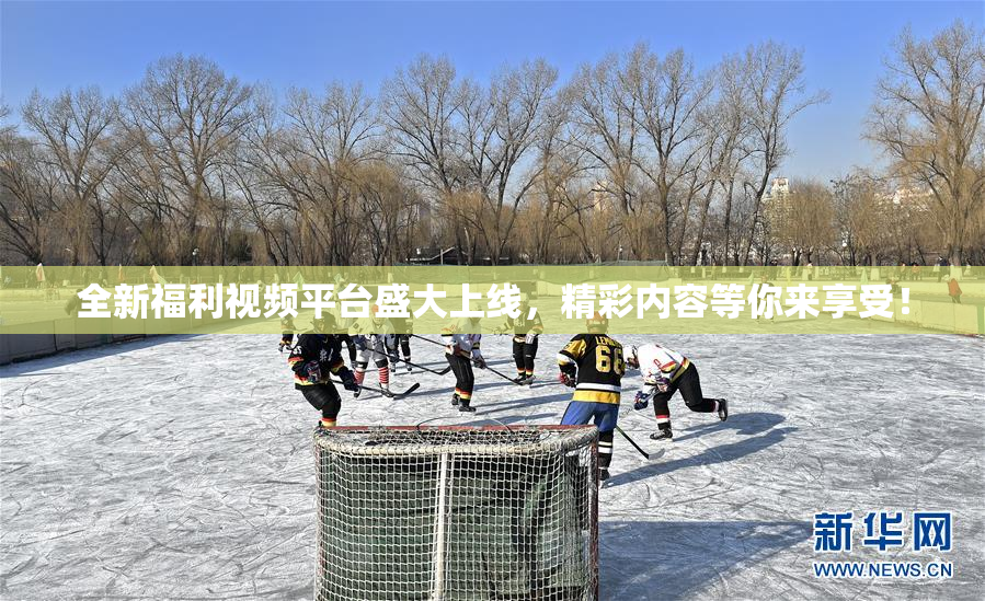 全新福利视频平台盛大上线，精彩内容等你来享受！