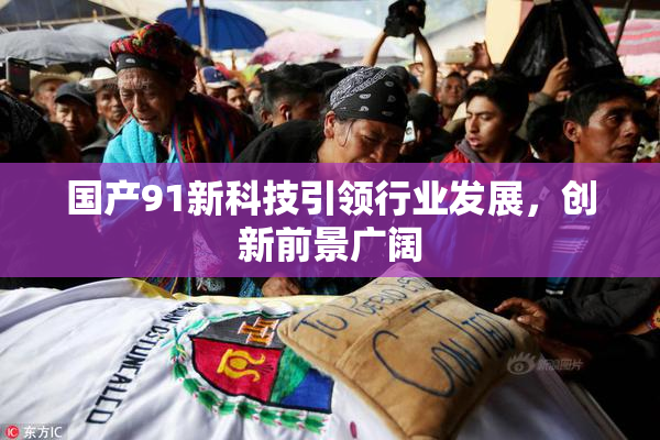 国产91新科技引领行业发展，创新前景广阔