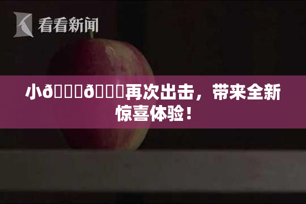 小🐔🐔再次出击，带来全新惊喜体验！