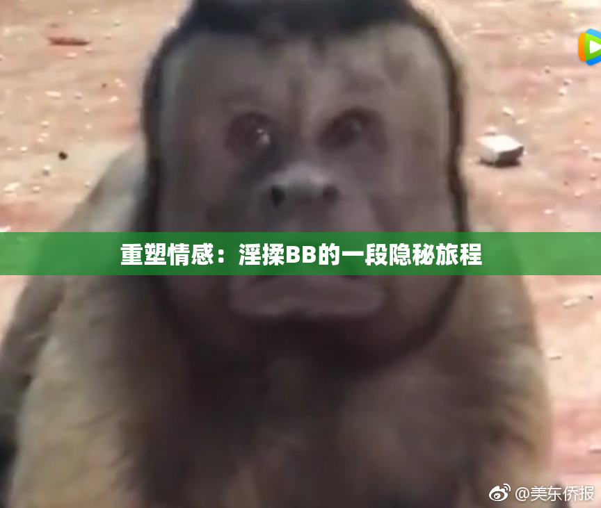 重塑情感：淫揉BB的一段隐秘旅程
