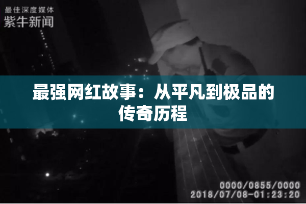 最强网红故事：从平凡到极品的传奇历程
