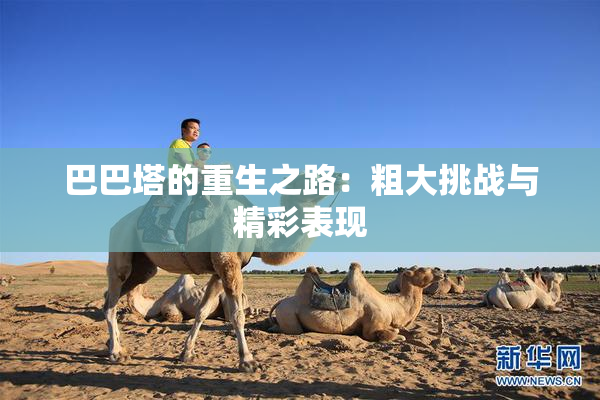巴巴塔的重生之路：粗大挑战与精彩表现