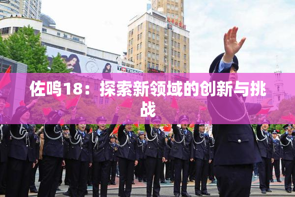 佐鸣18：探索新领域的创新与挑战