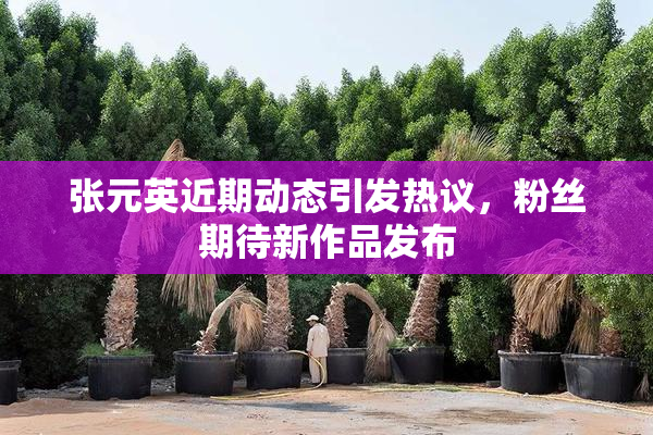 张元英近期动态引发热议，粉丝期待新作品发布