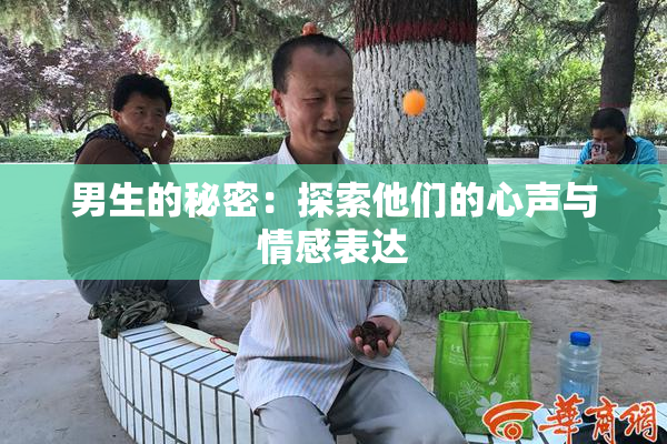 男生的秘密：探索他们的心声与情感表达