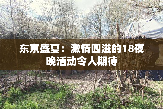 东京盛夏：激情四溢的18夜晚活动令人期待