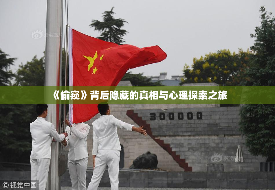 《偷窥》背后隐藏的真相与心理探索之旅