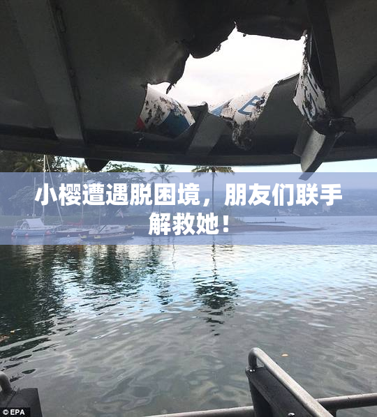 小樱遭遇脱困境，朋友们联手解救她！