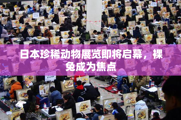 日本珍稀动物展览即将启幕，裸兔成为焦点