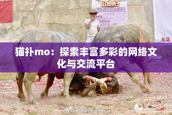 猫扑mo：探索丰富多彩的网络文化与交流平台