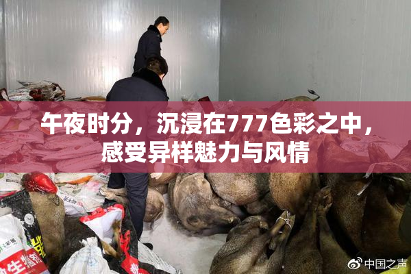 午夜时分，沉浸在777色彩之中，感受异样魅力与风情