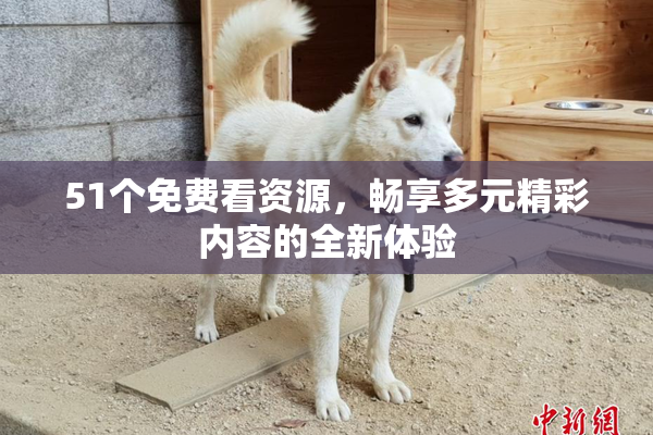 51个免费看资源，畅享多元精彩内容的全新体验