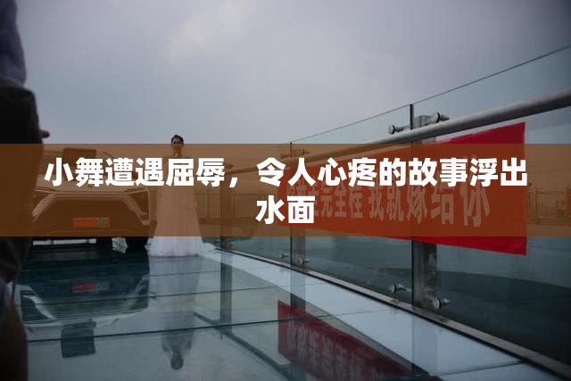 小舞遭遇屈辱，令人心疼的故事浮出水面