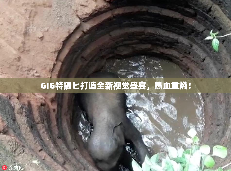 GIG特摄ヒ打造全新视觉盛宴，热血重燃！