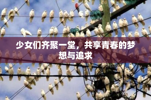 少女们齐聚一堂，共享青春的梦想与追求