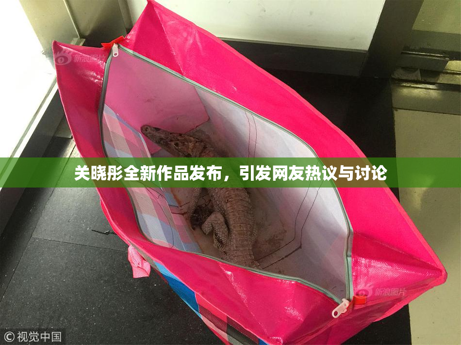 关晓彤全新作品发布，引发网友热议与讨论
