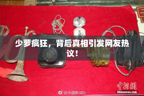少萝疯狂，背后真相引发网友热议！