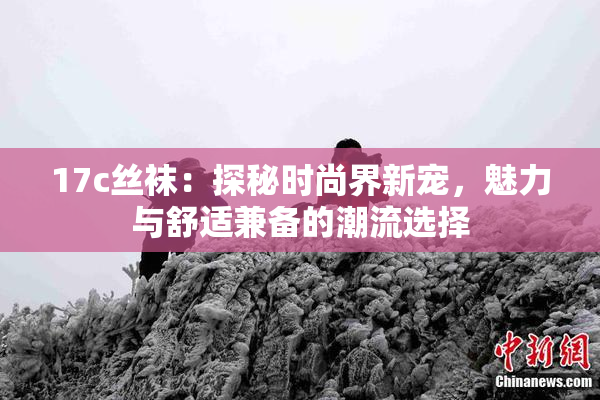 17c丝袜：探秘时尚界新宠，魅力与舒适兼备的潮流选择
