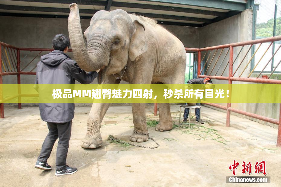 极品MM翘臀魅力四射，秒杀所有目光！