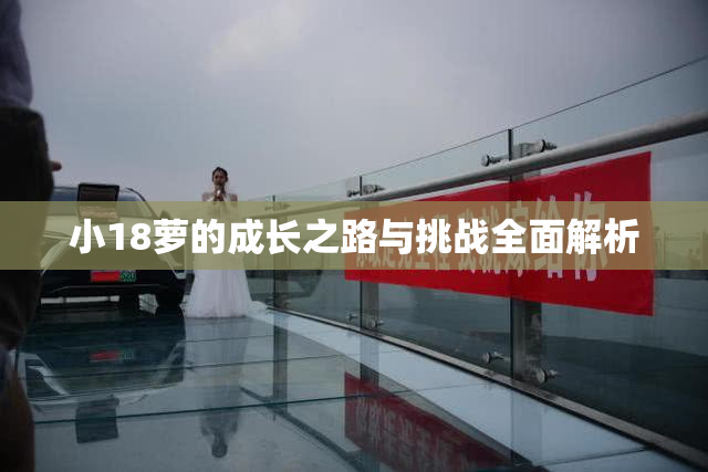 小18萝的成长之路与挑战全面解析