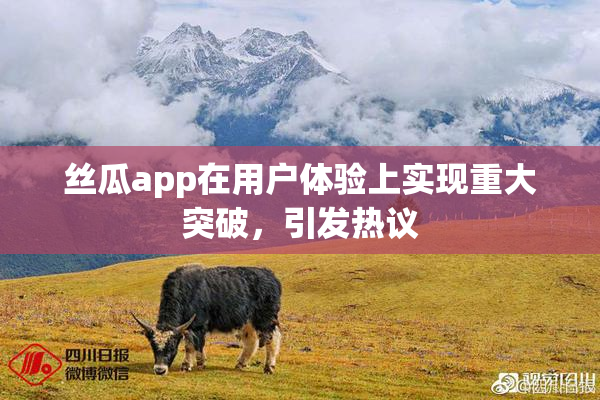 丝瓜app在用户体验上实现重大突破，引发热议