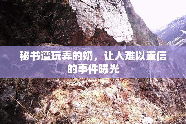 秘书遭玩弄的奶，让人难以置信的事件曝光