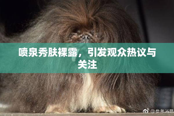 喷泉秀肤裸露，引发观众热议与关注