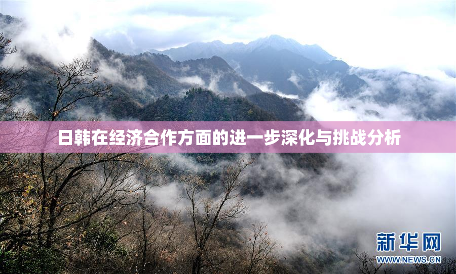 日韩在经济合作方面的进一步深化与挑战分析