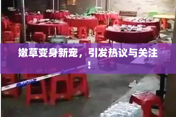 嫩草变身新宠，引发热议与关注！