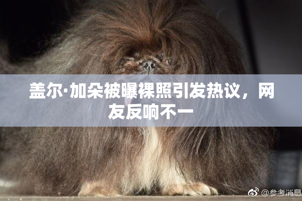 盖尔·加朵被曝裸照引发热议，网友反响不一