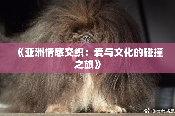 《亚洲情感交织：爱与文化的碰撞之旅》