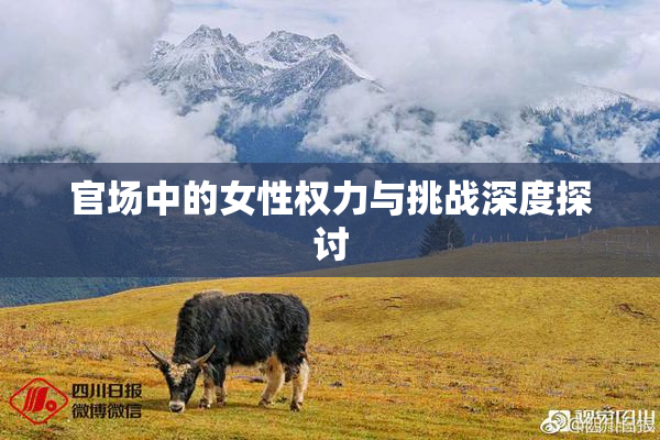 官场中的女性权力与挑战深度探讨