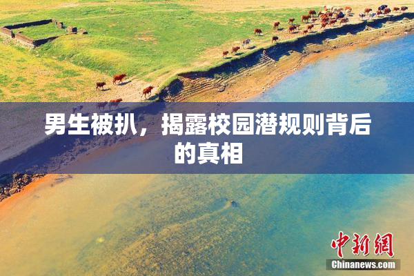 男生被扒，揭露校园潜规则背后的真相