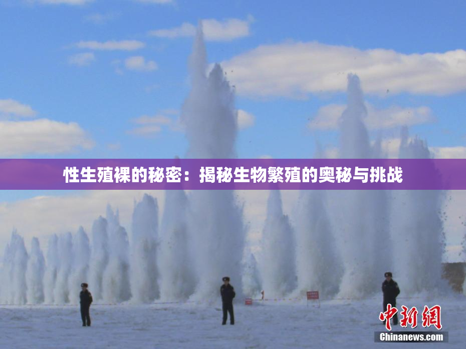 性生殖裸的秘密：揭秘生物繁殖的奥秘与挑战