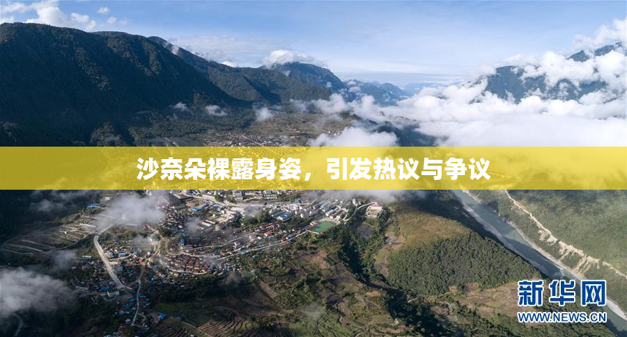 沙奈朵裸露身姿，引发热议与争议