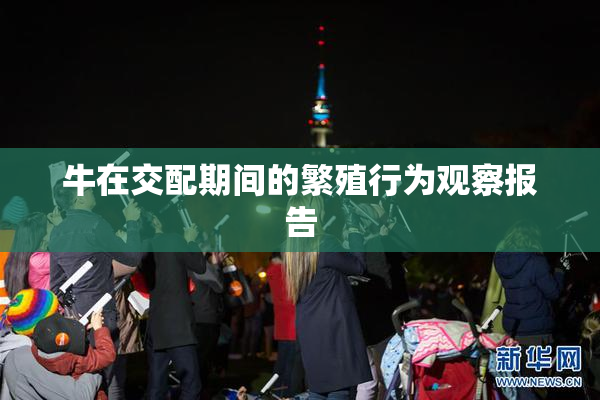 牛在交配期间的繁殖行为观察报告