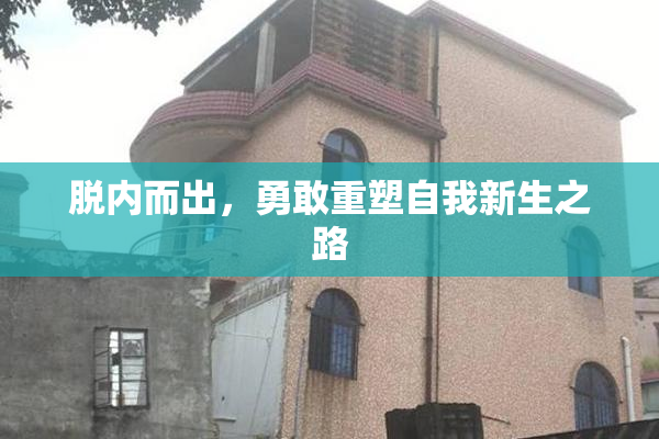 脱内而出，勇敢重塑自我新生之路