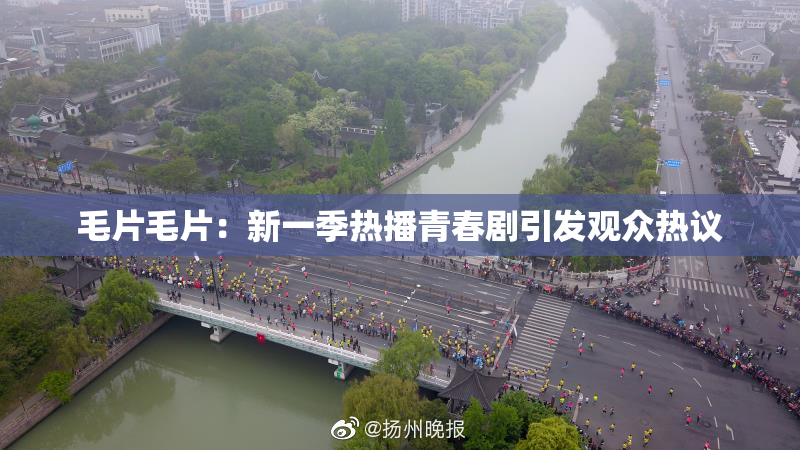 毛片毛片：新一季热播青春剧引发观众热议