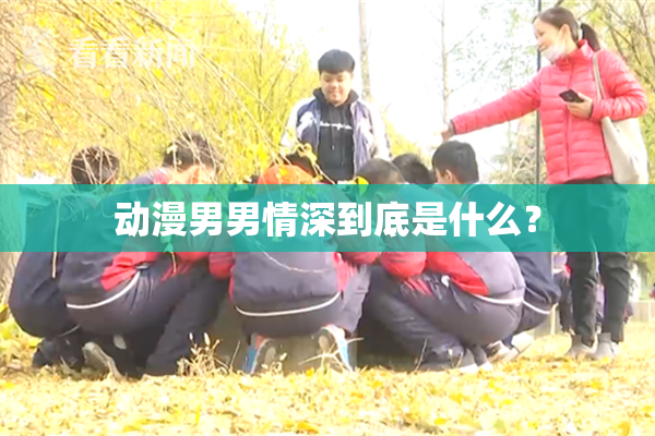 动漫男男情深到底是什么？