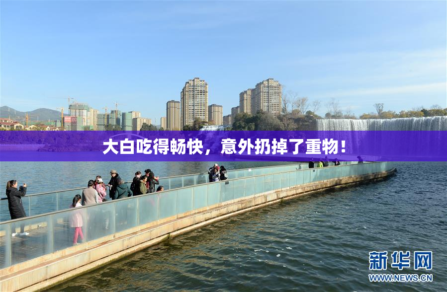 大白吃得畅快，意外扔掉了重物！