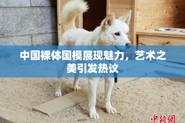 中国裸体国模展现魅力，艺术之美引发热议