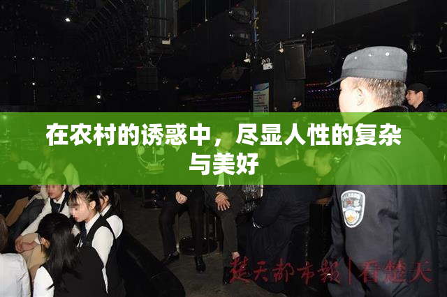 在农村的诱惑中，尽显人性的复杂与美好