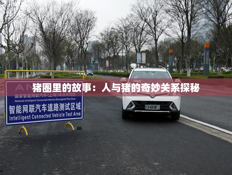 猪圈里的故事：人与猪的奇妙关系探秘