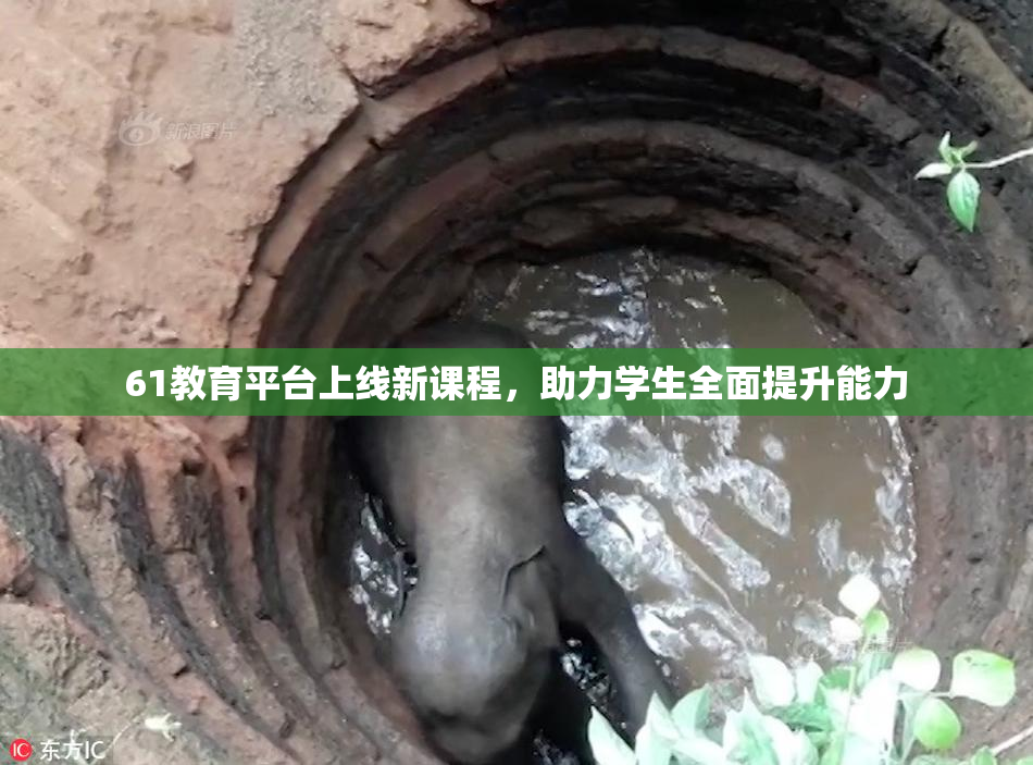 61教育平台上线新课程，助力学生全面提升能力