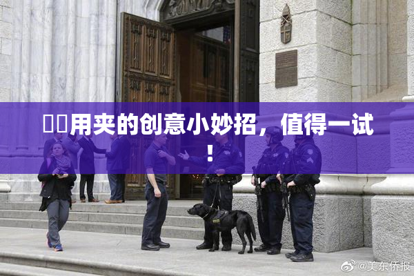 妺妺用夹的创意小妙招，值得一试！
